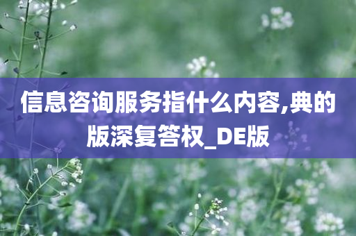 信息咨询服务指什么内容,典的版深复答权_DE版