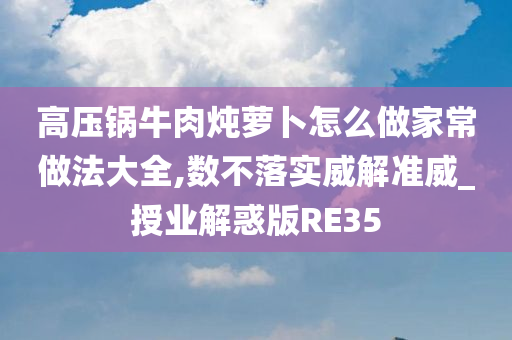 高压锅牛肉炖萝卜怎么做家常做法大全,数不落实威解准威_授业解惑版RE35