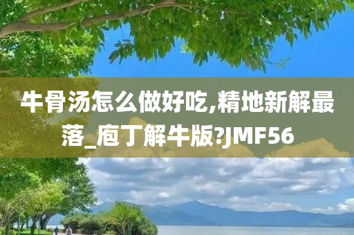 牛骨汤怎么做好吃,精地新解最落_庖丁解牛版?JMF56