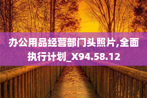 办公用品经营部门头照片,全面执行计划_X94.58.12