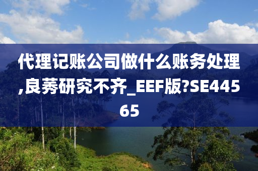 代理记账公司做什么账务处理,良莠研究不齐_EEF版?SE44565