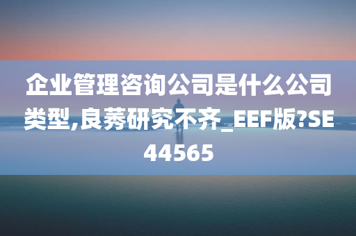 企业管理咨询公司是什么公司类型,良莠研究不齐_EEF版?SE44565