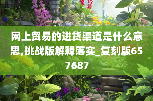 网上贸易的进货渠道是什么意思,挑战版解释落实_复刻版657687