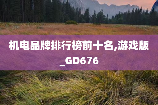 游戏版GD676