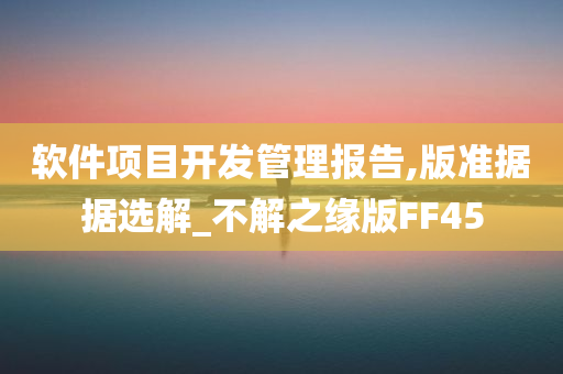 软件项目开发管理报告,版准据据选解_不解之缘版FF45