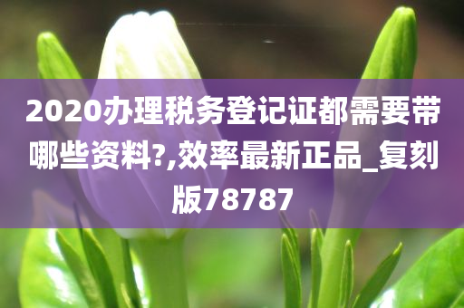 2020办理税务登记证都需要带哪些资料?,效率最新正品_复刻版78787