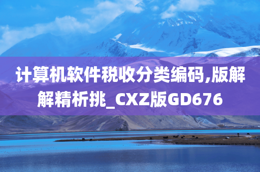 计算机软件税收分类编码,版解解精析挑_CXZ版GD676