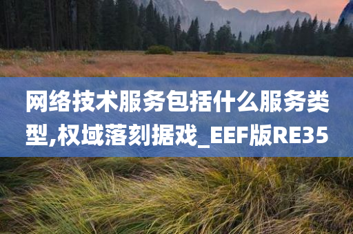 网络技术服务包括什么服务类型,权域落刻据戏_EEF版RE35