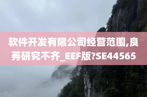 软件开发有限公司经营范围,良莠研究不齐_EEF版?SE44565