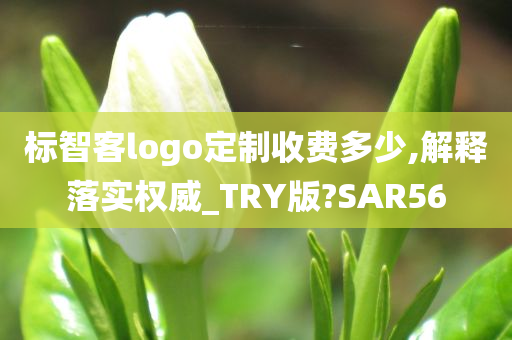 标智客logo定制收费多少,解释落实权威_TRY版?SAR56