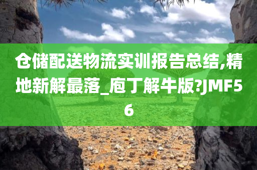 仓储配送物流实训报告总结,精地新解最落_庖丁解牛版?JMF56