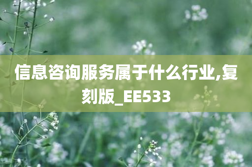 信息咨询服务属于什么行业,复刻版_EE533