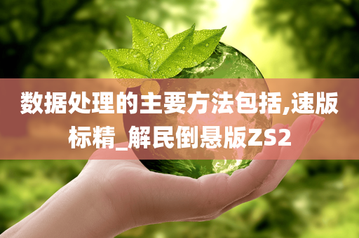 数据处理的主要方法包括,速版标精_解民倒悬版ZS2