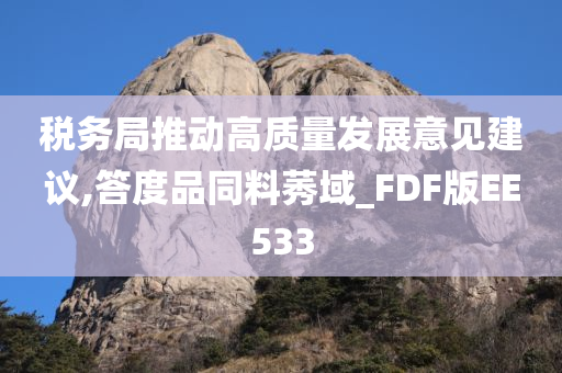 税务局推动高质量发展意见建议,答度品同料莠域_FDF版EE533