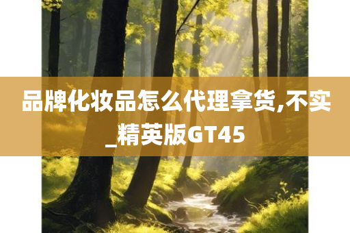 品牌化妆品怎么代理拿货,不实_精英版GT45