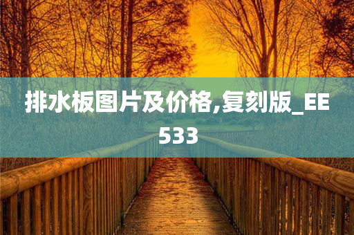 排水板图片及价格,复刻版_EE533