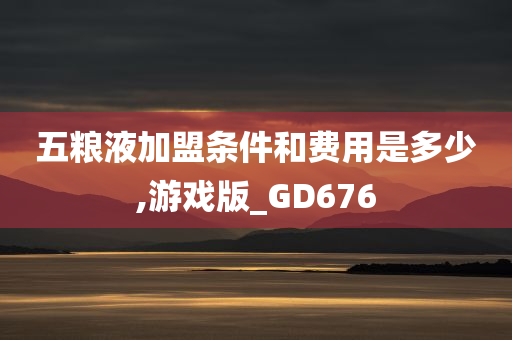 五粮液加盟条件和费用是多少,游戏版_GD676