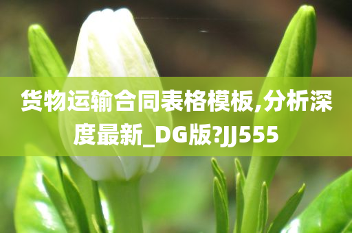 货物运输合同表格模板,分析深度最新_DG版?JJ555