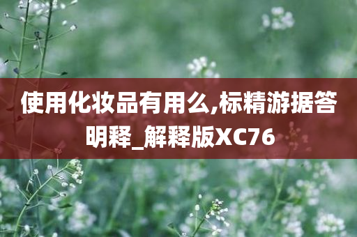 使用化妆品有用么,标精游据答明释_解释版XC76