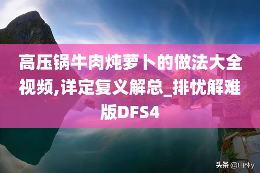 高压锅牛肉炖萝卜的做法大全视频,详定复义解总_排忧解难版DFS4