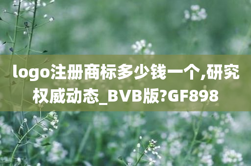 logo注册商标多少钱一个,研究权威动态_BVB版?GF898