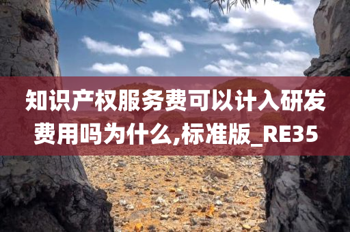 知识产权服务费可以计入研发费用吗为什么,标准版_RE35