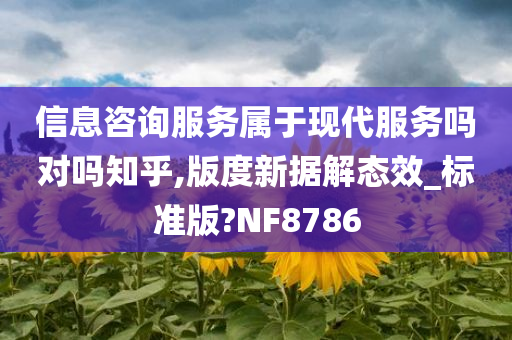 信息咨询服务属于现代服务吗对吗知乎,版度新据解态效_标准版?NF8786