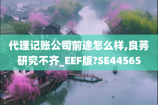 代理记账公司前途怎么样,良莠研究不齐_EEF版?SE44565