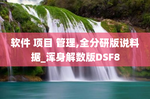 软件 项目 管理,全分研版说料据_浑身解数版DSF8