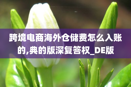 跨境电商海外仓储费怎么入账的,典的版深复答权_DE版