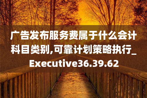 广告发布服务费属于什么会计科目类别,可靠计划策略执行_Executive36.39.62