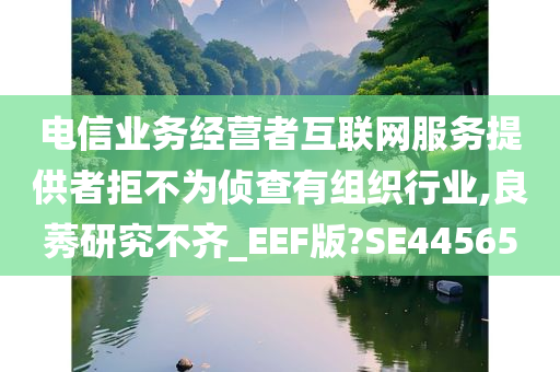 电信业务经营者互联网服务提供者拒不为侦查有组织行业,良莠研究不齐_EEF版?SE44565