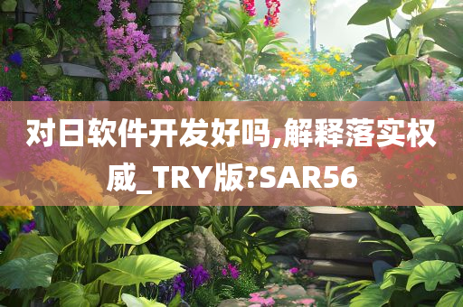 对日软件开发好吗,解释落实权威_TRY版?SAR56