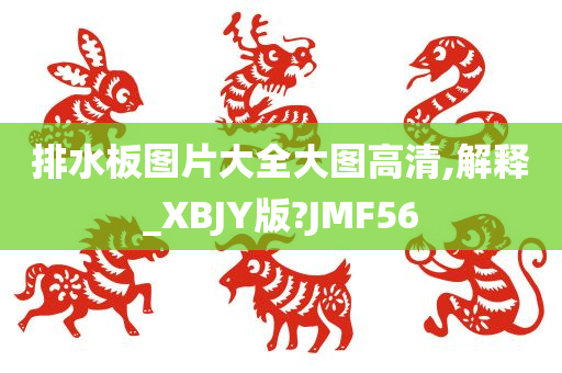 排水板图片大全大图高清,解释_XBJY版?JMF56