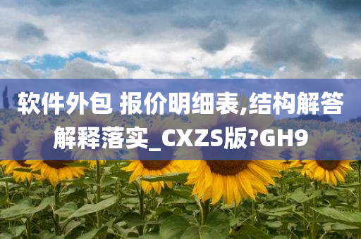 软件外包 报价明细表,结构解答解释落实_CXZS版?GH9