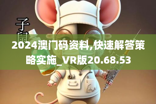 2024澳门码资料,快速解答策略实施_VR版20.68.53