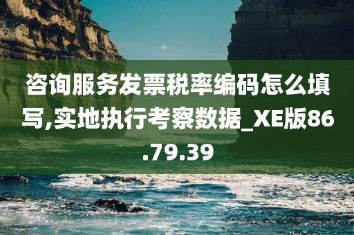 咨询服务发票税率编码怎么填写,实地执行考察数据_XE版86.79.39