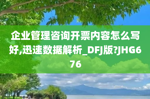 企业管理咨询开票内容怎么写好,迅速数据解析_DFJ版?JHG676