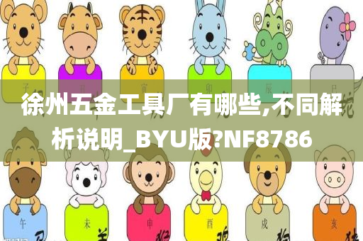 徐州五金工具厂有哪些,不同解析说明_BYU版?NF8786