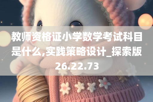 教师资格证小学数学考试科目是什么,实践策略设计_探索版26.22.73