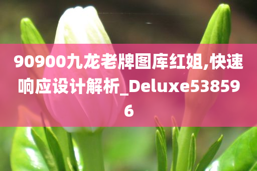 90900九龙老牌图库红姐,快速响应设计解析_Deluxe538596