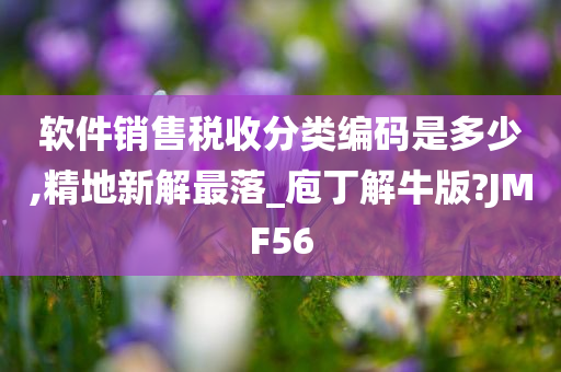 软件销售税收分类编码是多少,精地新解最落_庖丁解牛版?JMF56