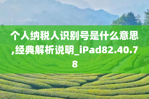 个人纳税人识别号是什么意思,经典解析说明_iPad82.40.78