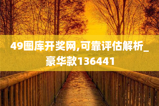 49图库开奖网,可靠评估解析_豪华款136441