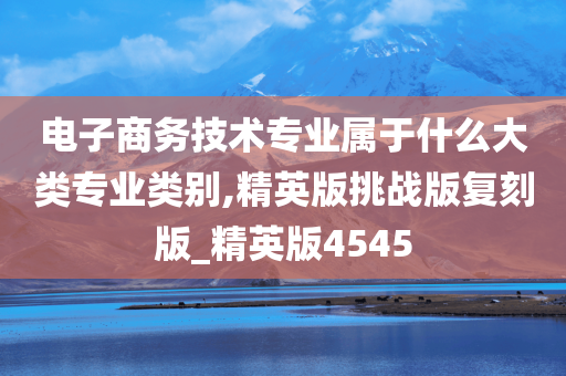 电子商务技术专业属于什么大类专业类别,精英版挑战版复刻版_精英版4545