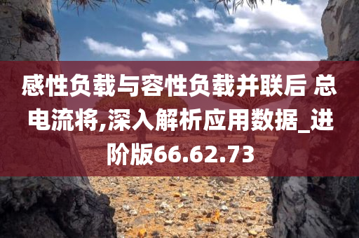 感性负载与容性负载并联后 总电流将,深入解析应用数据_进阶版66.62.73