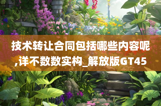 技术转让合同包括哪些内容呢,详不数数实构_解放版GT45