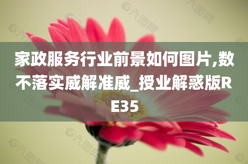 家政服务行业前景如何图片,数不落实威解准威_授业解惑版RE35