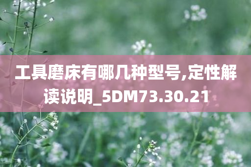 工具磨床有哪几种型号,定性解读说明_5DM73.30.21