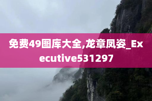 免费49图库大全,龙章凤姿_Executive531297